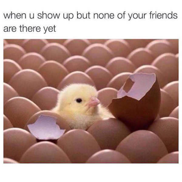 Amusing Memes to Make You Laugh out Loud