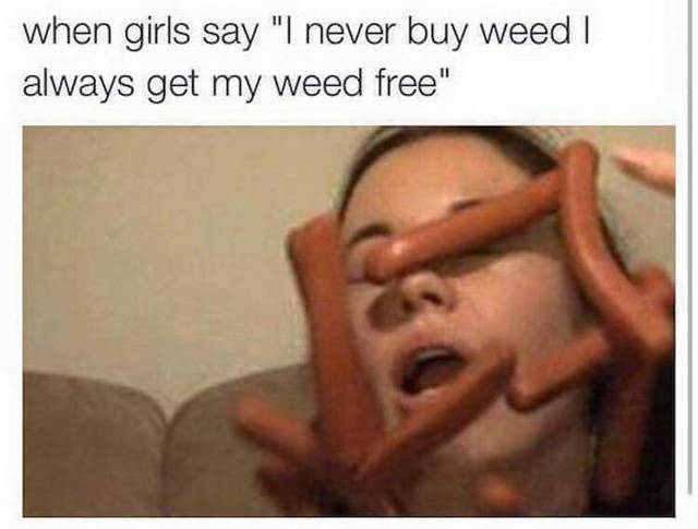 Amusing Memes to Make You Laugh out Loud