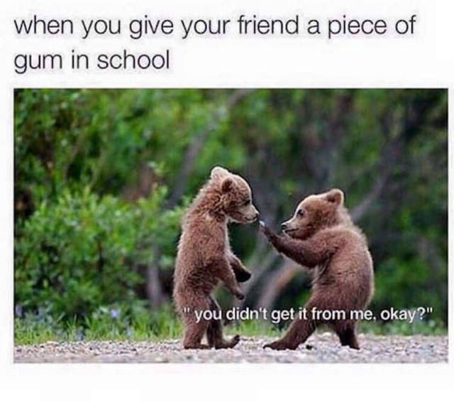 Amusing Memes to Make You Laugh out Loud