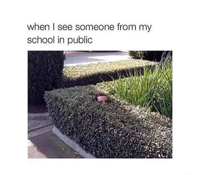 Amusing Memes to Make You Laugh out Loud