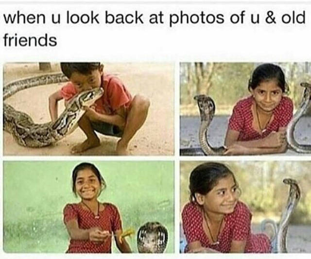 Amusing Memes to Make You Laugh out Loud