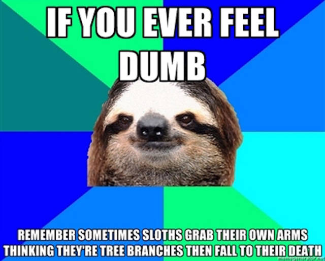 Amusing Memes to Make You Laugh out Loud