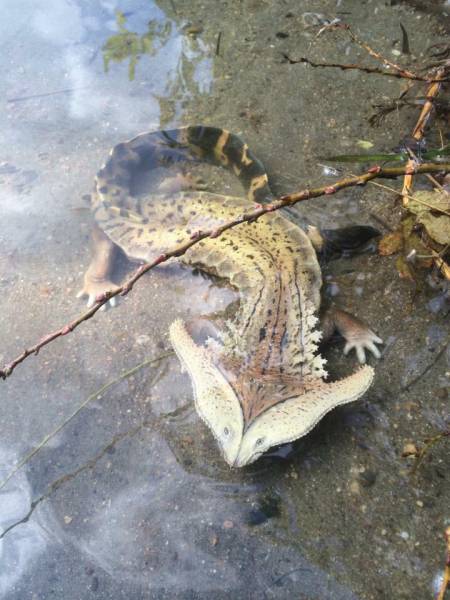 page,30,top 1500 daily pics of the year 2015.html - 1 HD Photos | Premium Gallery 2015