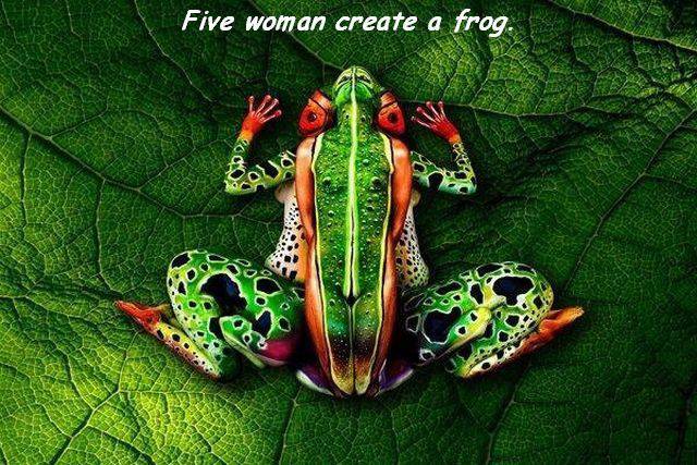 page,16,top 1500 daily pics of the year 2015.html - 1 HD Photos | Premium Gallery 2015