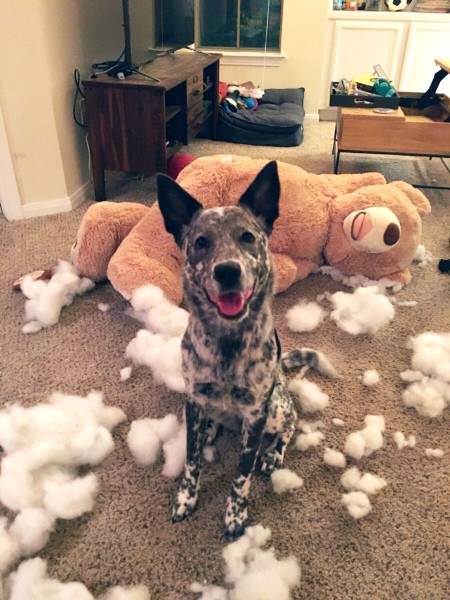 daily picdump 104 pics 4.html - 104 HD Photos | Premium Gallery 2015