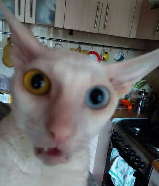 daily picdump 104 pics 4.html - 104 HD Photos | Premium Gallery 2015