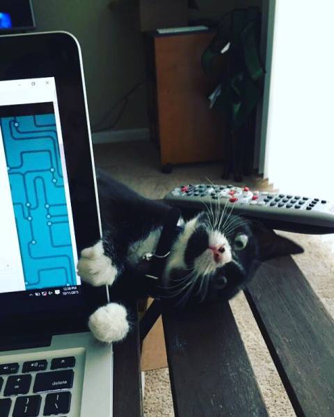 daily picdump 104 pics 4.html - 104 HD Photos | Premium Gallery 2015