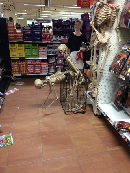 daily picdump 104 pics 4.html - 104 HD Photos | Premium Gallery 2015