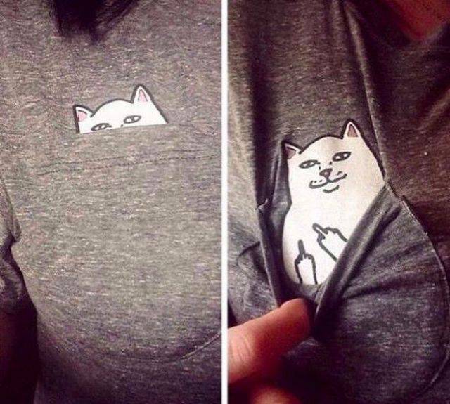 daily picdump 104 pics 4.html - 104 HD Photos | Premium Gallery 2015