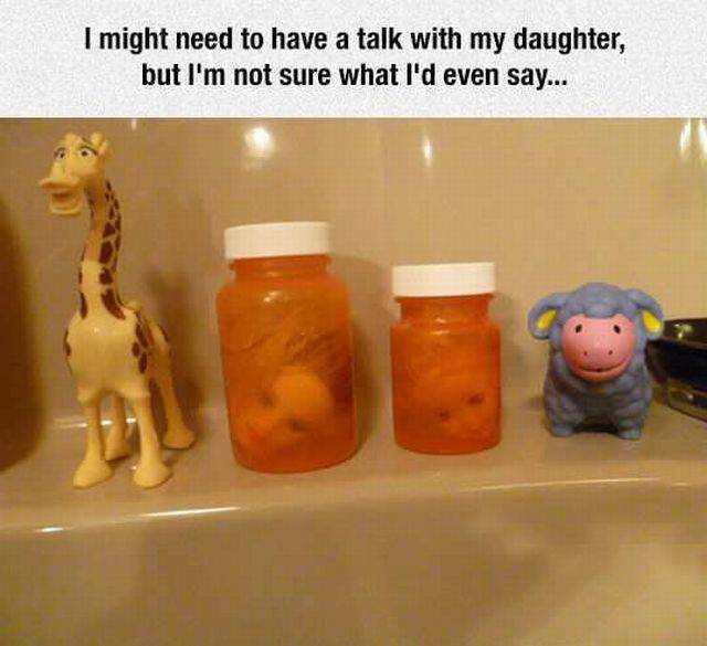 daily picdump 104 pics 4.html - 104 HD Photos | Premium Gallery 2015