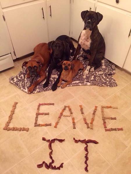 daily picdump 104 pics 4.html - 104 HD Photos | Premium Gallery 2015