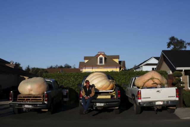 daily picdump 110 pics 25.html - 110 HD Photos | Premium Gallery 2015