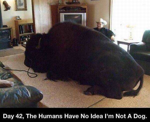 daily picdump 110 pics 25.html - 110 HD Photos | Premium Gallery 2015