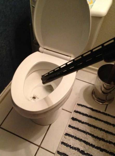 daily picdump 110 pics 25.html - 110 HD Photos | Premium Gallery 2015