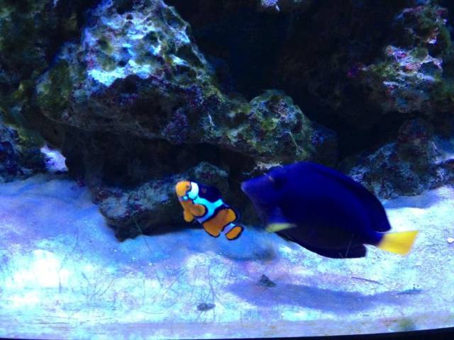 daily picdump 110 pics 25.html - 110 HD Photos | Premium Gallery 2015