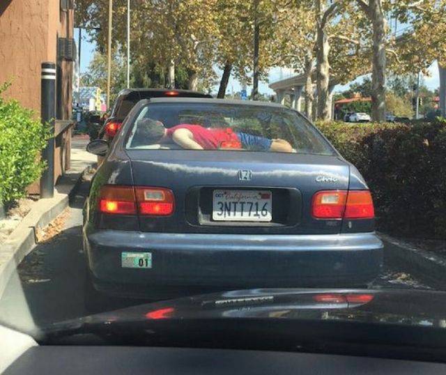 daily picdump 110 pics 25.html - 110 HD Photos | Premium Gallery 2015