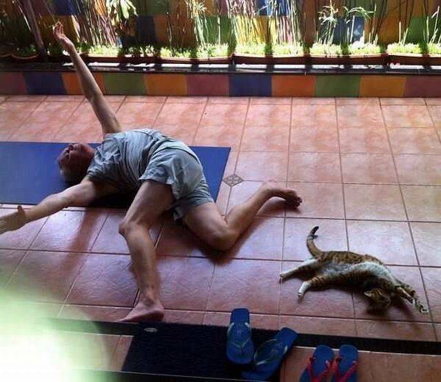 daily picdump 110 pics 25.html - 110 HD Photos | Premium Gallery 2015