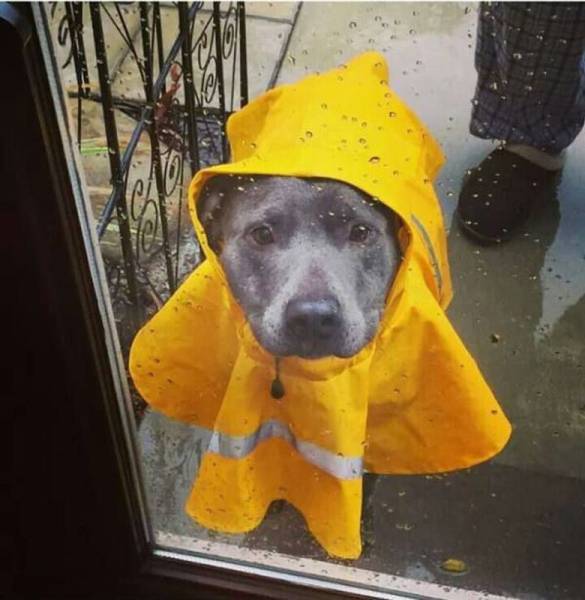 daily picdump 110 pics 25.html - 110 HD Photos | Premium Gallery 2015