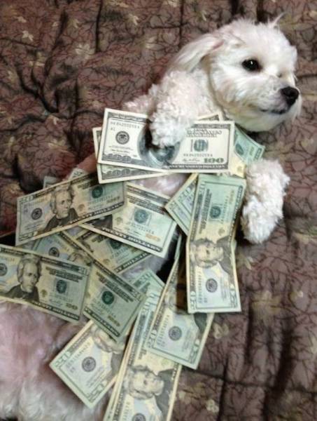 daily picdump 110 pics 25.html - 110 HD Photos | Premium Gallery 2015