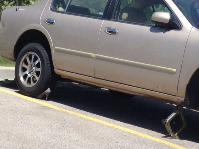 daily picdump 110 pics 25.html - 110 HD Photos | Premium Gallery 2015