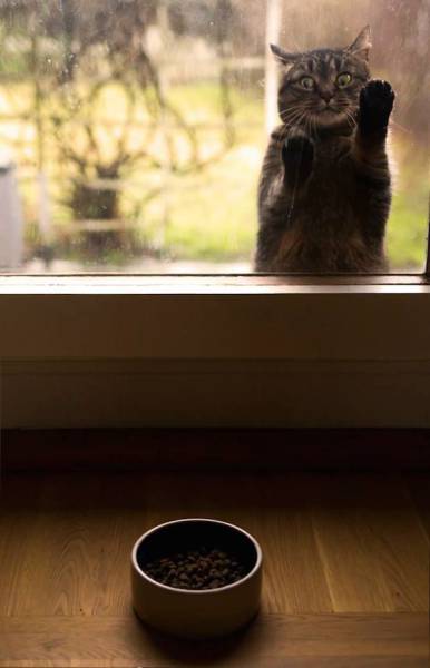 daily picdump 110 pics 25.html - 110 HD Photos | Premium Gallery 2015