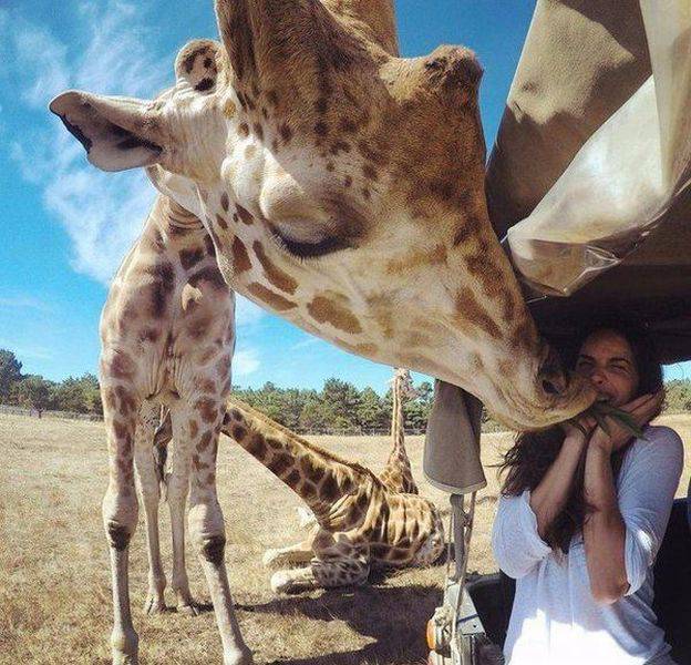 page,40,top 1500 daily pics of the year 2015.html - 1 HD Photos | Premium Gallery 2015