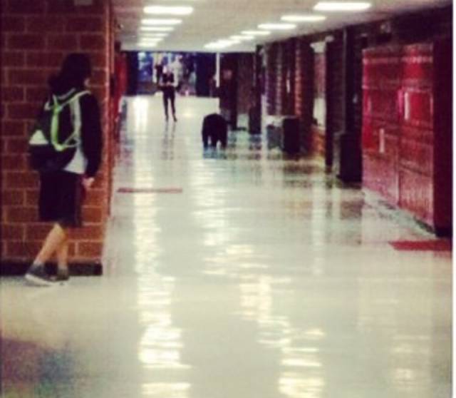 morning picdump 52 pics 2.html - 52 HD Photos | Premium Gallery 2015