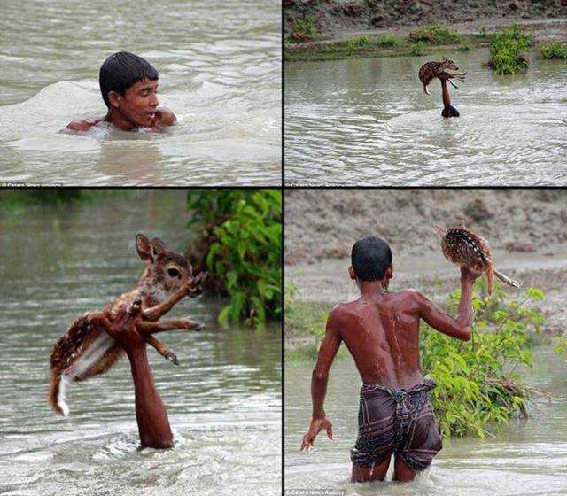 morning picdump 52 pics 2.html - 52 HD Photos | Premium Gallery 2015