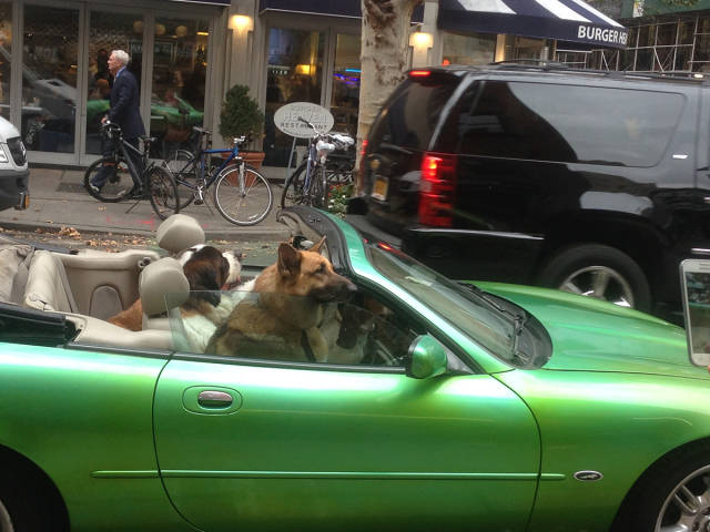 morning picdump 52 pics 2.html - 52 HD Photos | Premium Gallery 2015