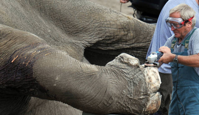 morning picdump 52 pics 2.html - 52 HD Photos | Premium Gallery 2015