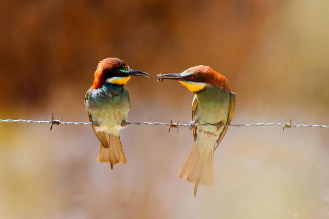 morning picdump 52 pics 2.html - 52 HD Photos | Premium Gallery 2015