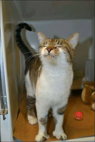 page,30,top 1500 daily pics of the year 2015.html - 1 HD Photos | Premium Gallery 2015