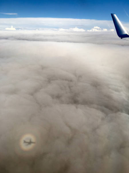 morning picdump 52 pics 4.html - 52 HD Photos | Premium Gallery 2015