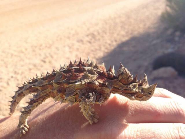 morning picdump 52 pics 4.html - 52 HD Photos | Premium Gallery 2015