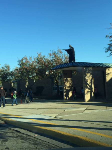 morning picdump 52 pics 4.html - 52 HD Photos | Premium Gallery 2015