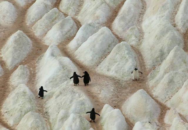 morning picdump 52 pics 4.html - 52 HD Photos | Premium Gallery 2015