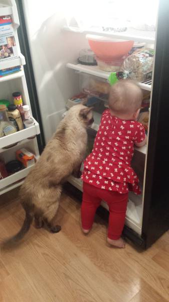 morning picdump 52 pics 4.html - 52 HD Photos | Premium Gallery 2015