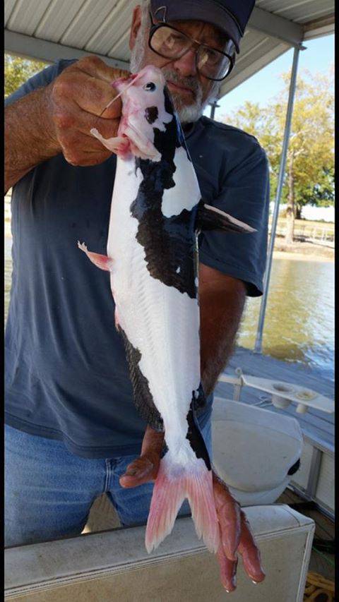 morning picdump 52 pics 4.html - 52 HD Photos | Premium Gallery 2015