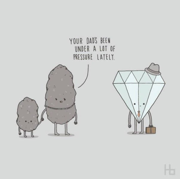 page,8,top 450 funny pics of the year 2015.html - 1 HD Photos | Premium Gallery 2015