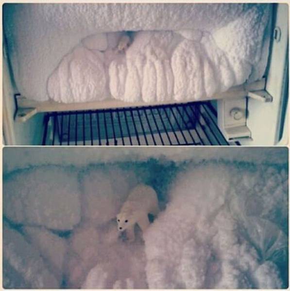 page,56,top 1500 daily pics of the year 2015.html - 1 HD Photos | Premium Gallery 2015