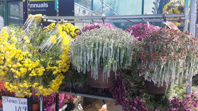 morning picdump 52 pics 4.html - 52 HD Photos | Premium Gallery 2015