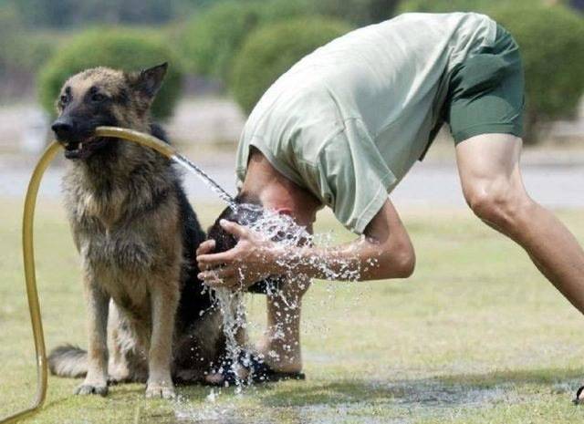 morning picdump 52 pics 4.html - 52 HD Photos | Premium Gallery 2015