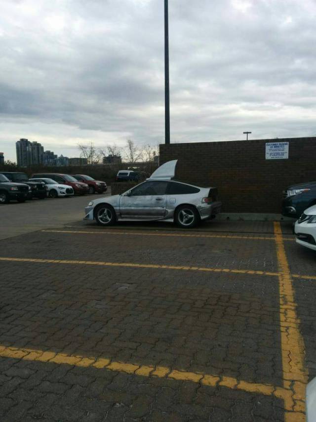 morning picdump 52 pics 4.html - 52 HD Photos | Premium Gallery 2015