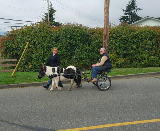 morning picdump 52 pics 1.html - 52 HD Photos | Premium Gallery 2015