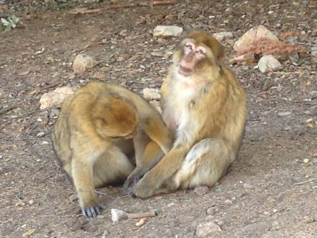 morning picdump 52 pics 1.html - 52 HD Photos | Premium Gallery 2015