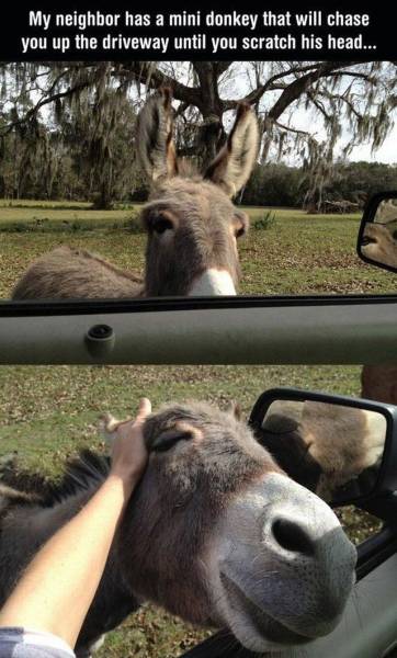 page,41,top 1500 daily pics of the year 2015.html - 1 HD Photos | Premium Gallery 2015