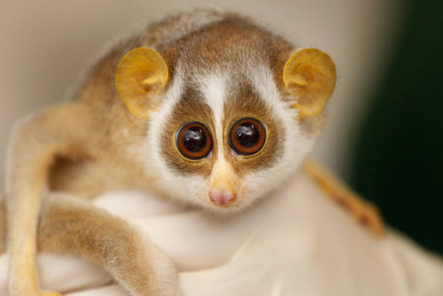 morning picdump 52 pics 7.html - 52 HD Photos | Premium Gallery 2015