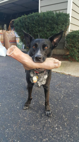 morning picdump 52 pics 7.html - 52 HD Photos | Premium Gallery 2015