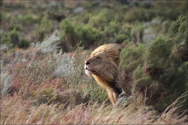 page,11,top 1500 daily pics of the year 2015.html - 1 HD Photos | Premium Gallery 2015