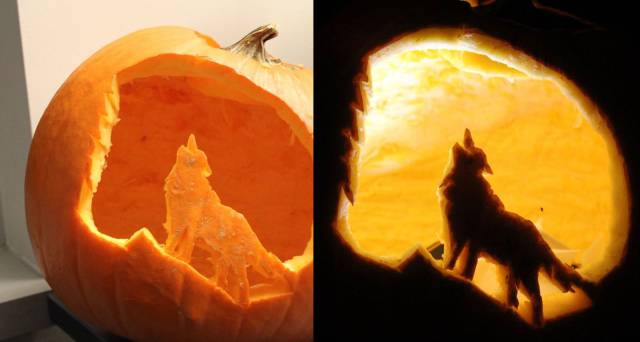 page,41,top 1500 daily pics of the year 2015.html - 1 HD Photos | Premium Gallery 2015